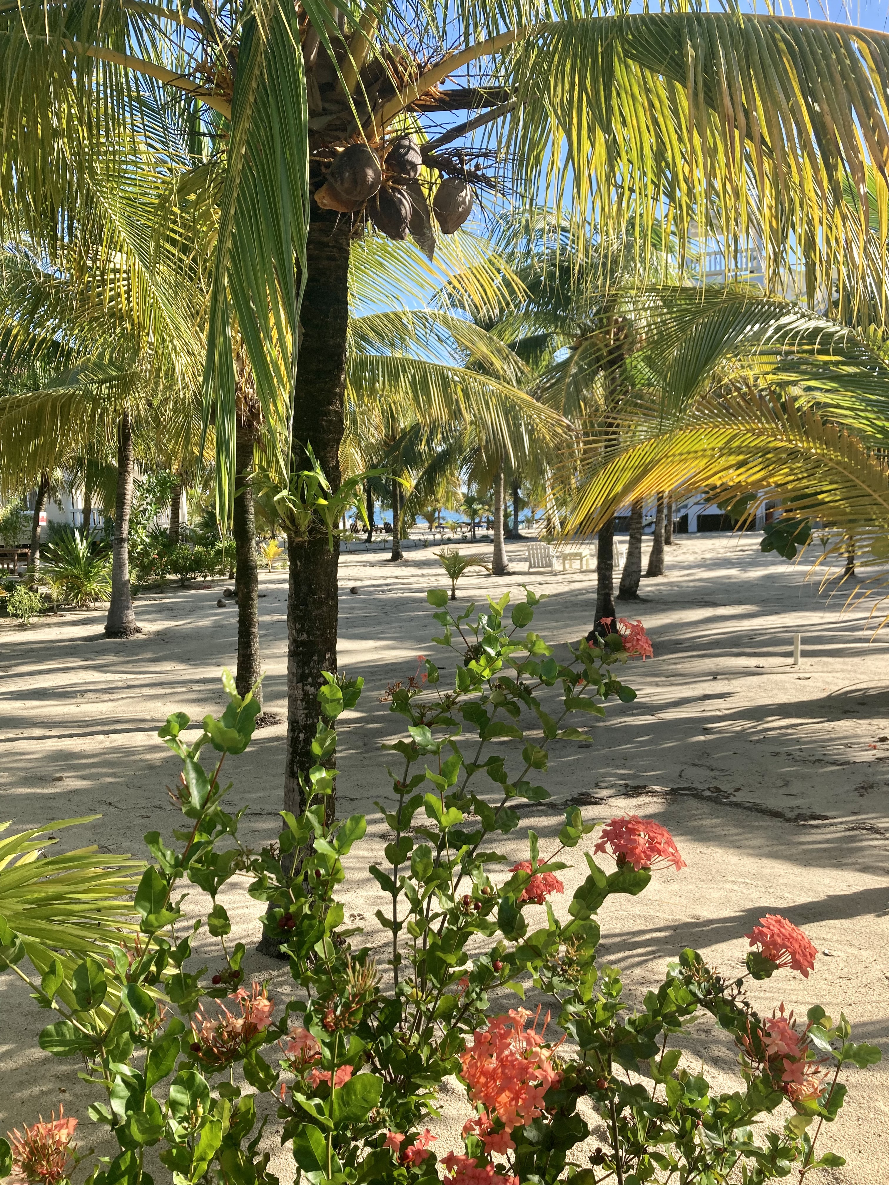 Placencia Caye, Belize